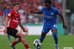 夏洛特黄蜂迎德国杯关键赛，今晚战术微调，态度坚定，身体对抗强度拉满的简单介绍-英雄联盟赔率